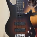 Roscoe SKB Fretless