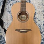 Hohner Parlor Guitar